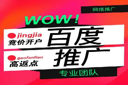 案例分析：信息流广告投放转化率提升策略